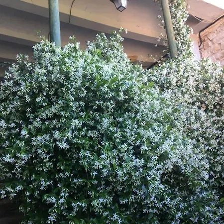 Pensionat L'insolite Meyrannes